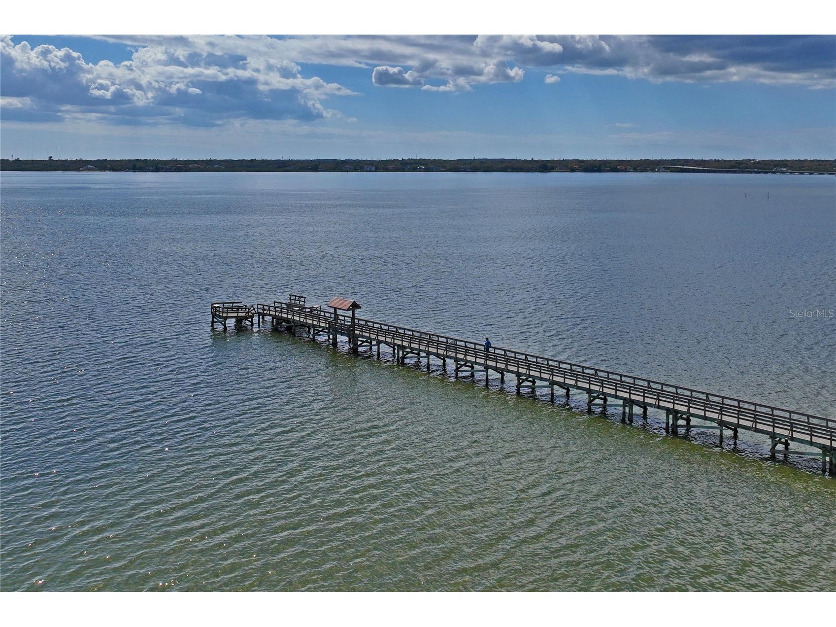 402 Shore Drive W Oldsmar FL 34677 - TAMPA BAY TB8485835 image57