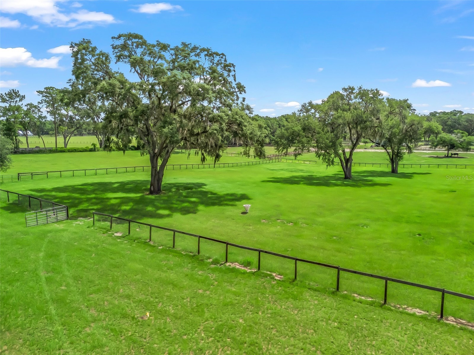 402 SW 127th Place Ocala FL 34473 OM702468 image71