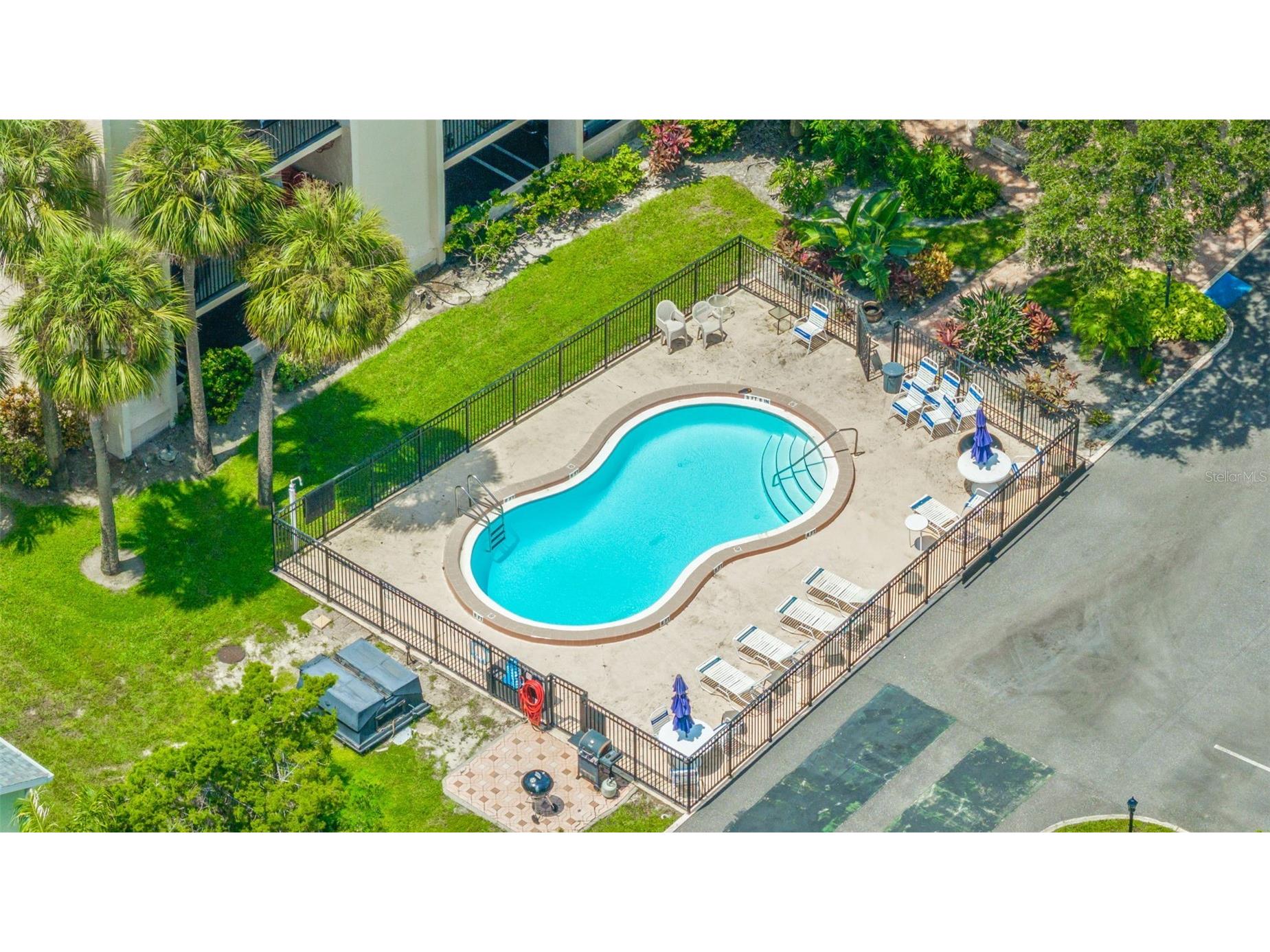 402 Tarpon Point Tarpon Springs FL 34689 - GULF OF MEXICO TB8470605 image19