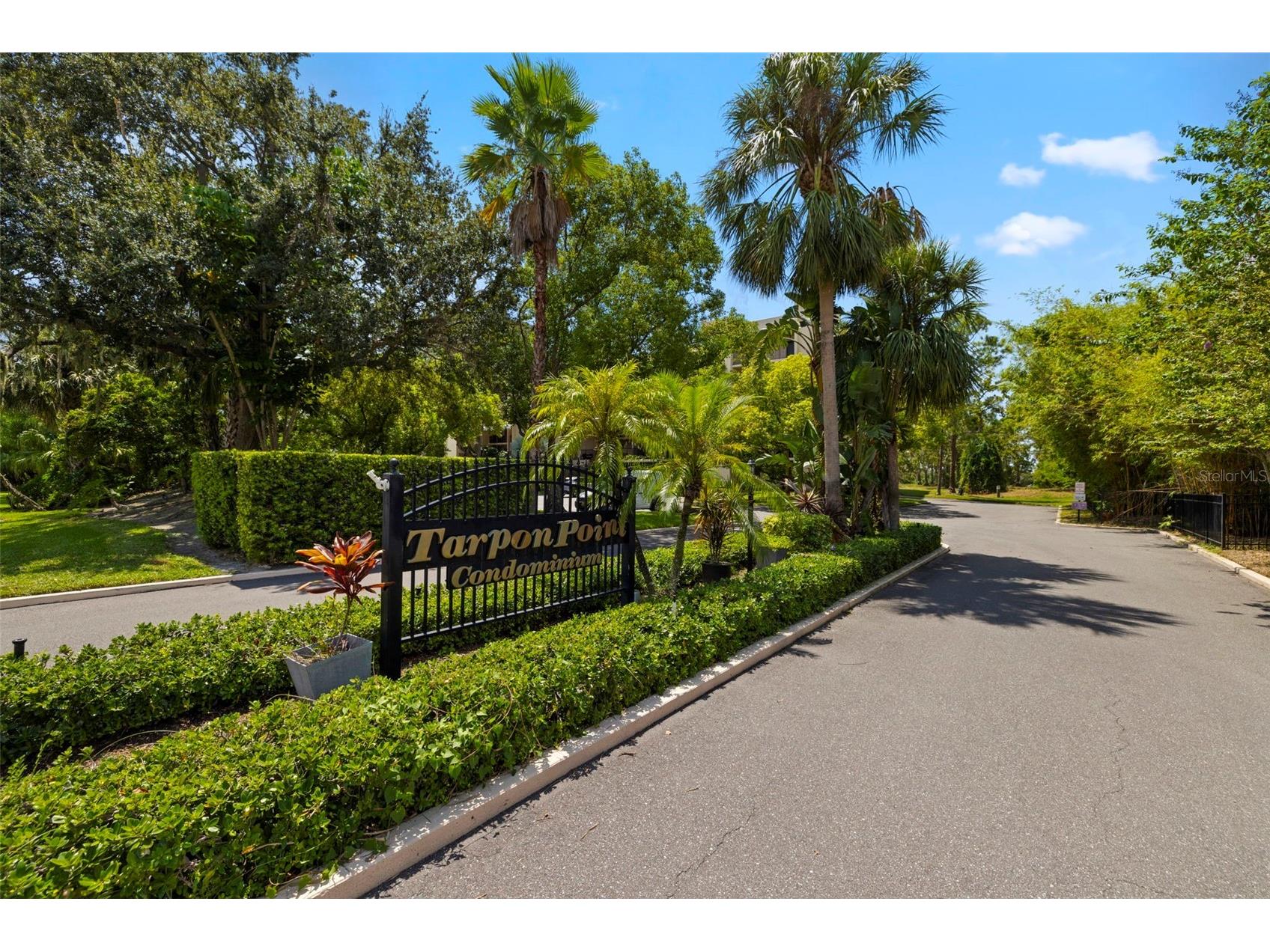 402 Tarpon Point Tarpon Springs FL 34689 - GULF OF MEXICO TB8470605 image2