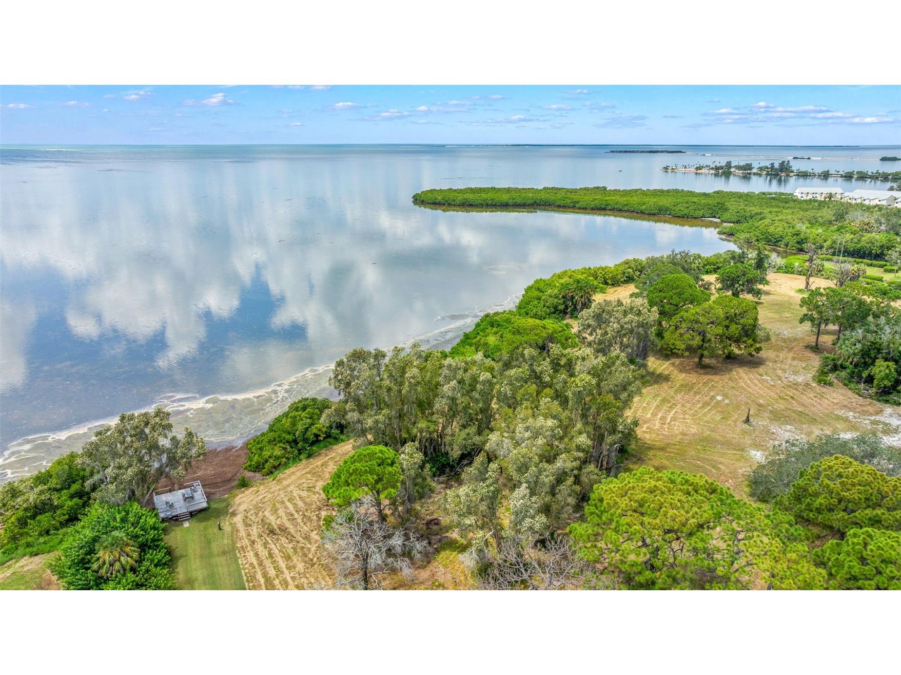 402 Tarpon Point Tarpon Springs FL 34689 - GULF OF MEXICO TB8470605 image23