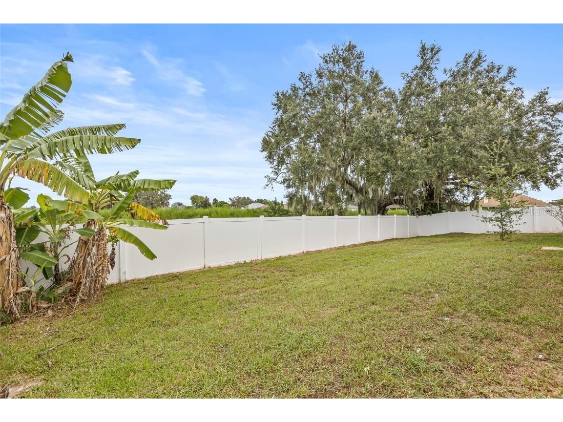 402 Terranova Street Winter Haven FL 33884 L4956005 image42