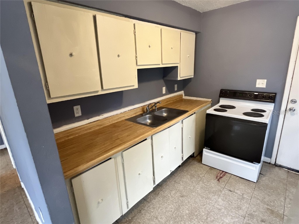 402 Terry Street Wildwood FL 34785 O6366347 image9