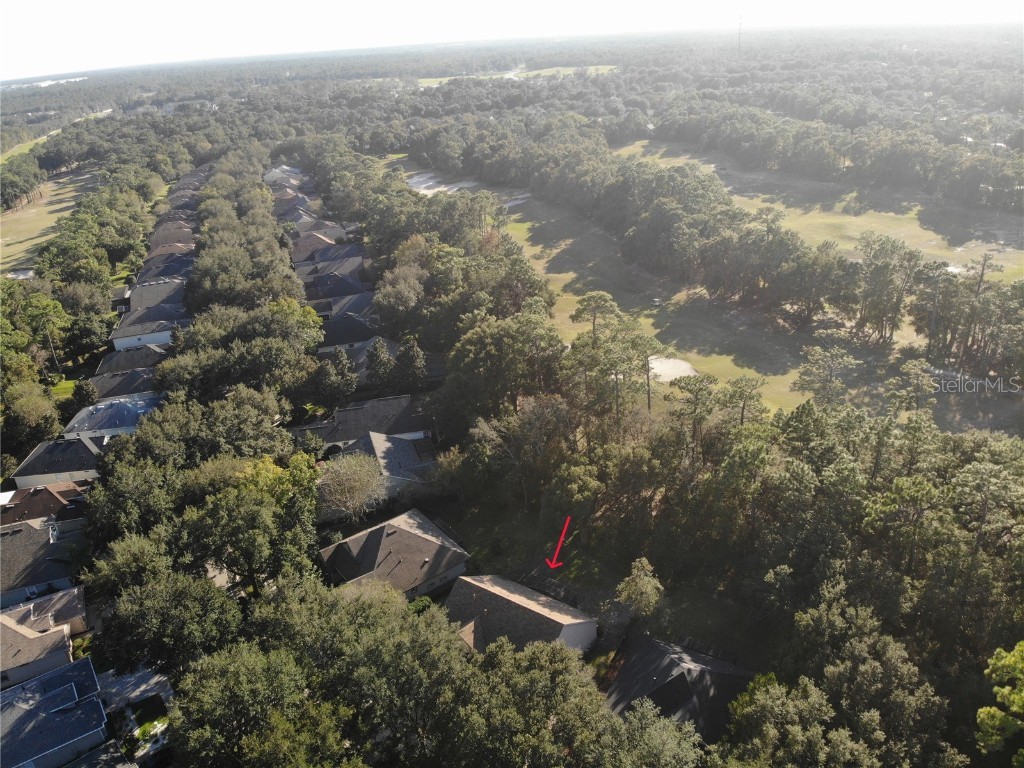 402 Victoria Hills Drive Deland FL 32724 O6357544 image3