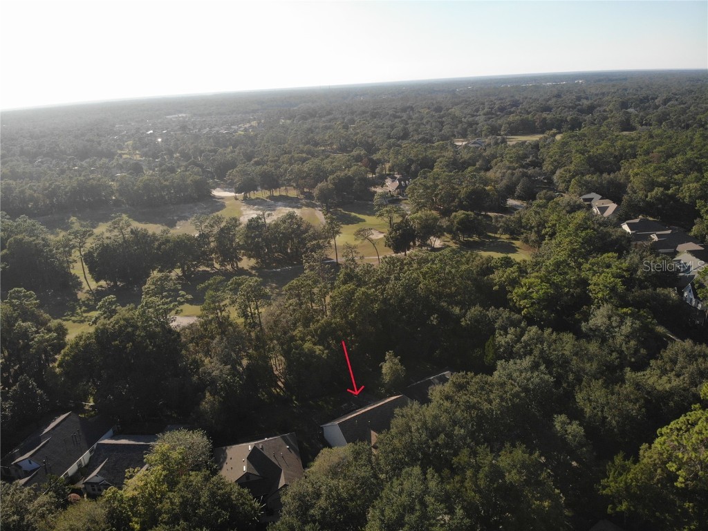 402 Victoria Hills Drive Deland FL 32724 O6357544 image4