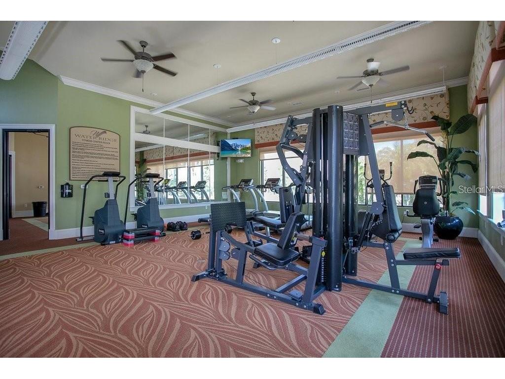 402 Waterfern Trail Drive Auburndale FL 33823 P4934406 image8