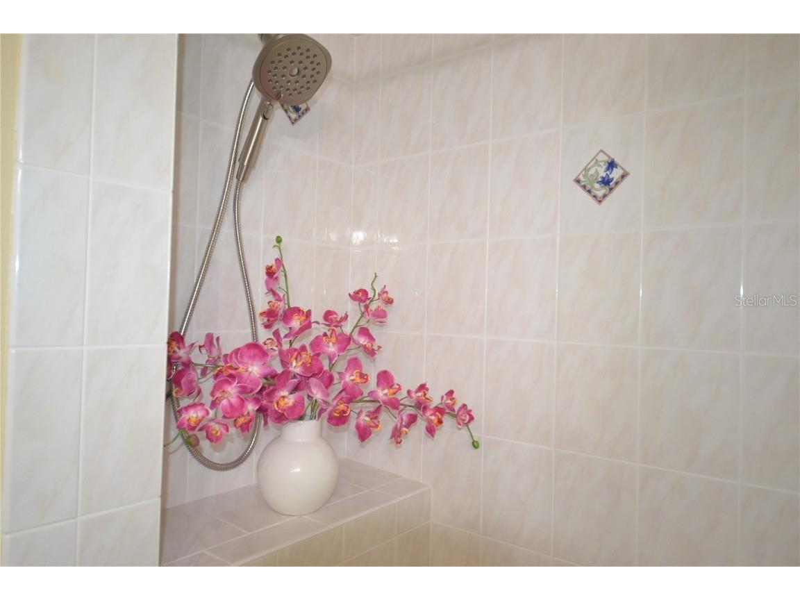 4020 Casa Del Sol Way New Port Richey FL 34655 TB8441817 image47