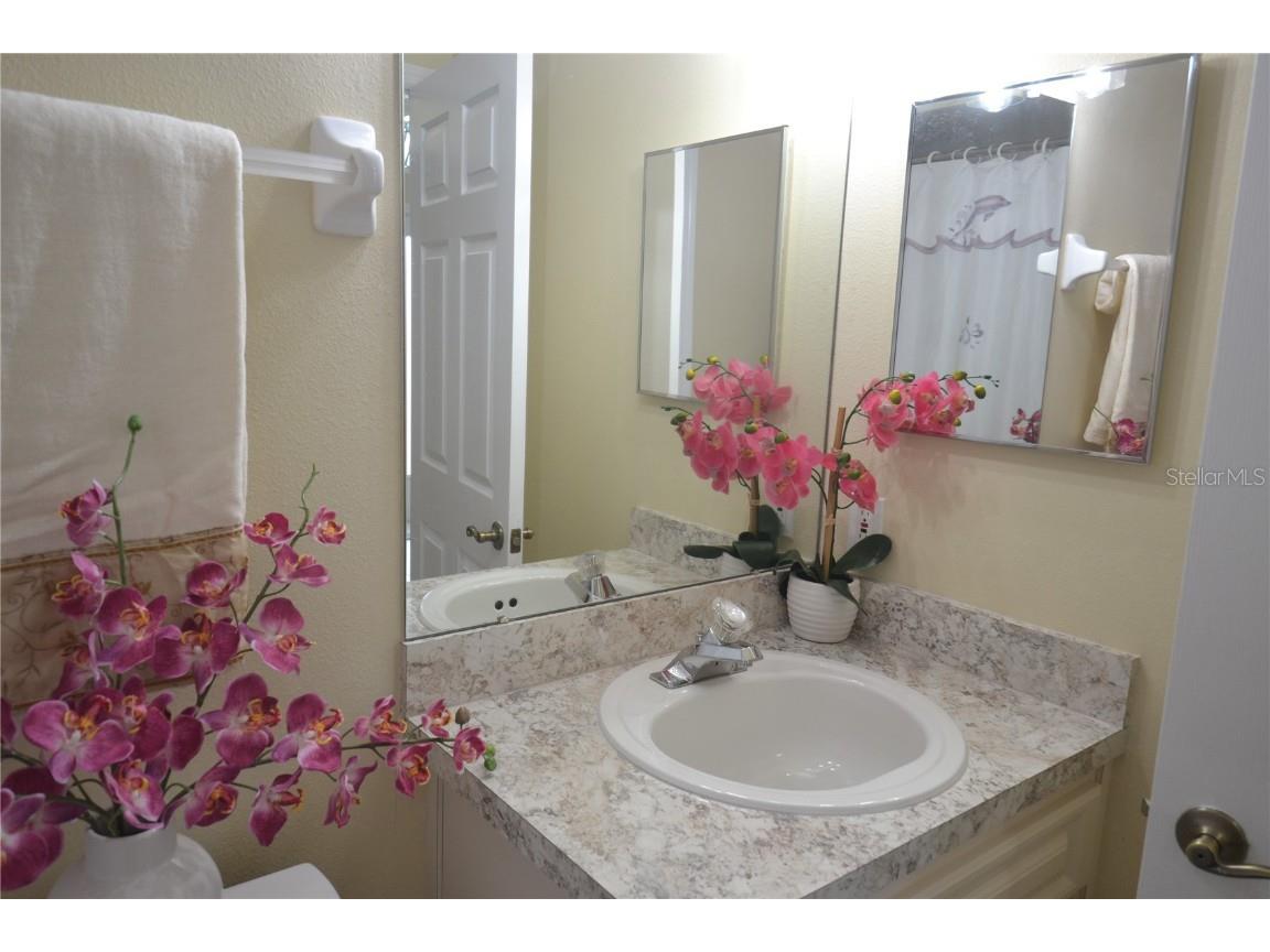 4020 Casa Del Sol Way New Port Richey FL 34655 TB8441817 image48