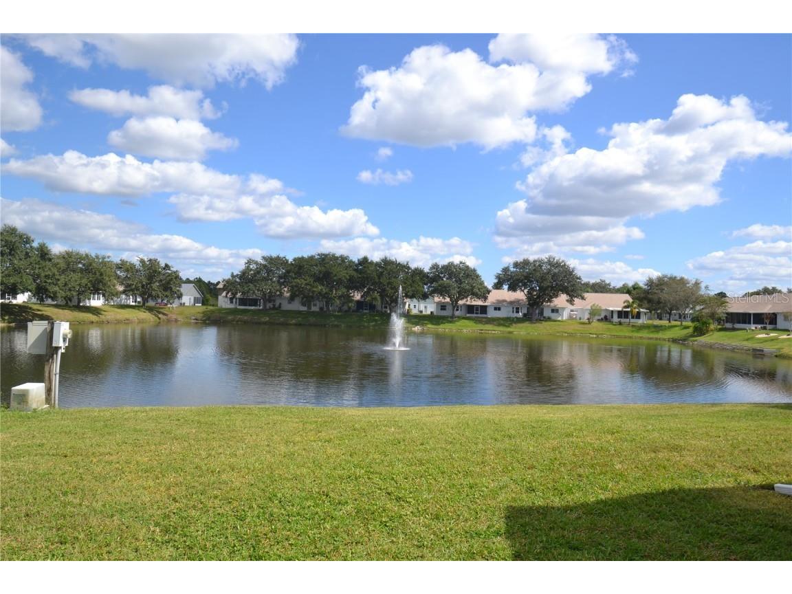 4020 Casa Del Sol Way New Port Richey FL 34655 TB8441817 image63