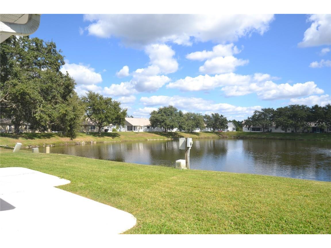 4020 Casa Del Sol Way New Port Richey FL 34655 TB8441817 image64