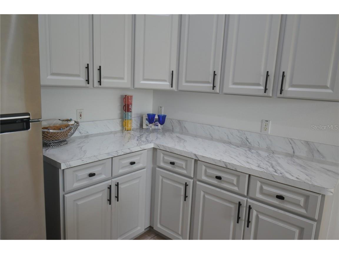 4020 Casa Del Sol Way New Port Richey FL 34655 TB8441817 image8