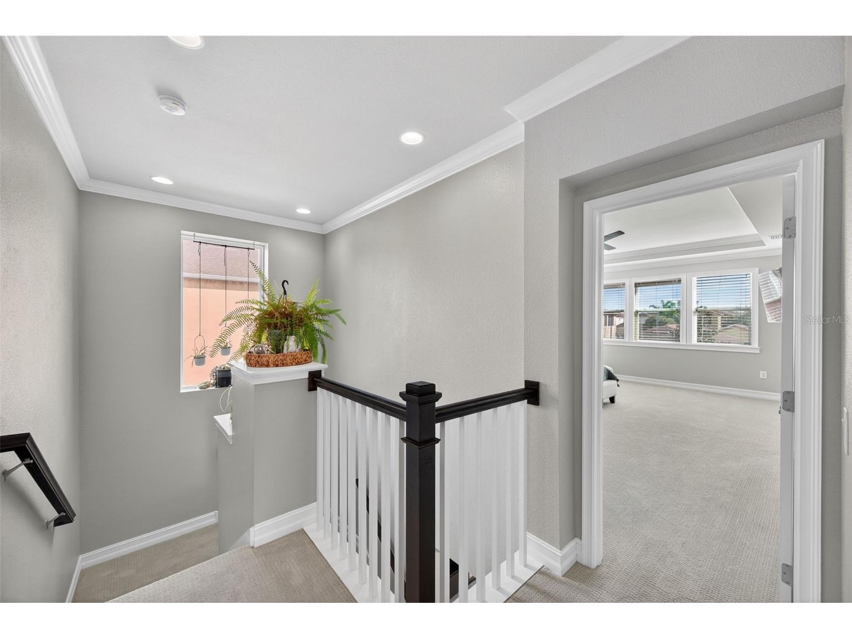4020 Empoli Court Wesley Chapel FL 33543 TB8464062 image25