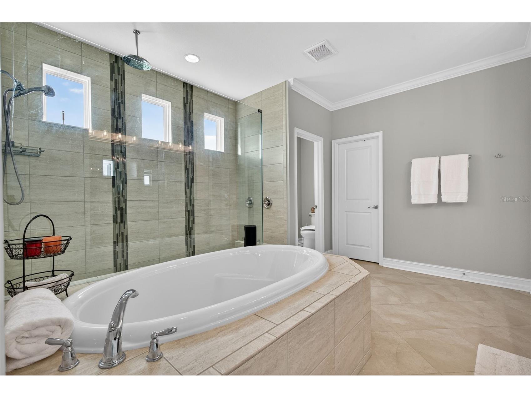 4020 Empoli Court Wesley Chapel FL 33543 TB8464062 image29