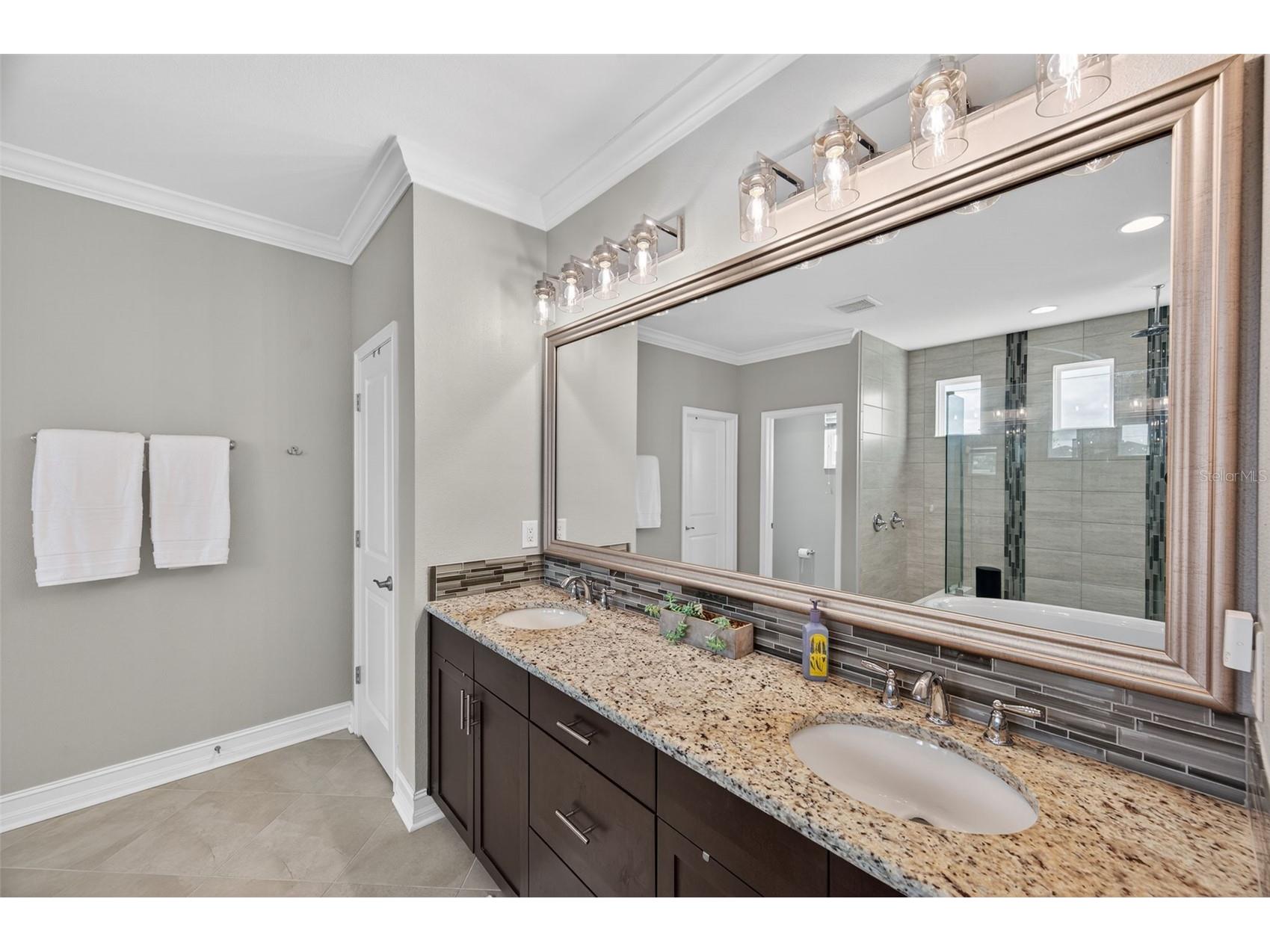 4020 Empoli Court Wesley Chapel FL 33543 TB8464062 image30