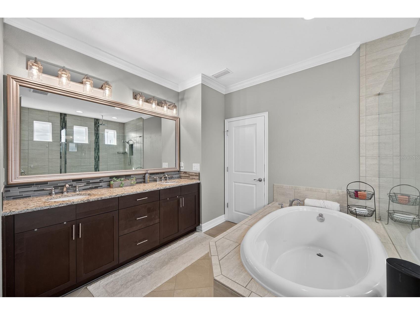 4020 Empoli Court Wesley Chapel FL 33543 TB8464062 image32
