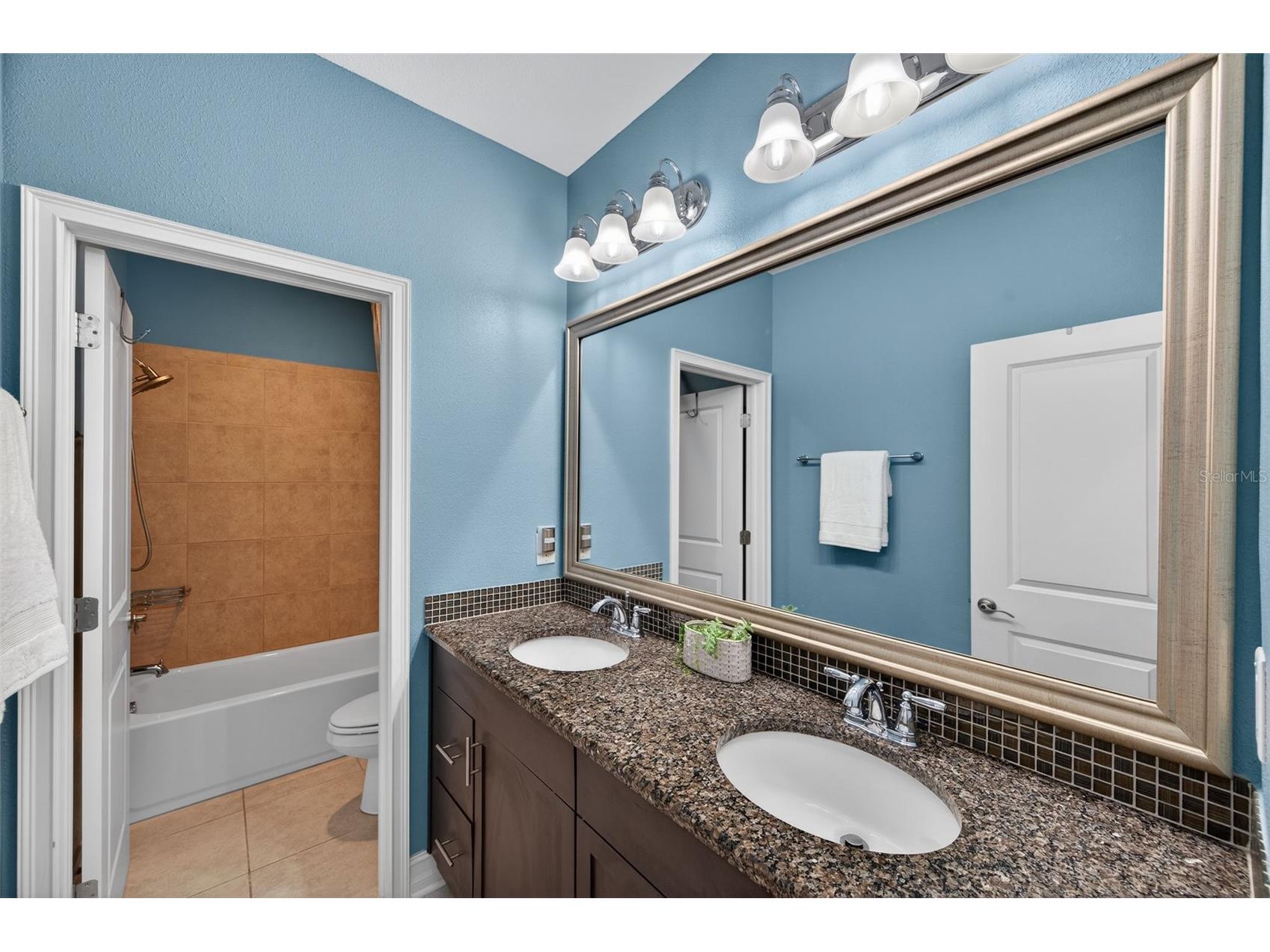 4020 Empoli Court Wesley Chapel FL 33543 TB8464062 image37