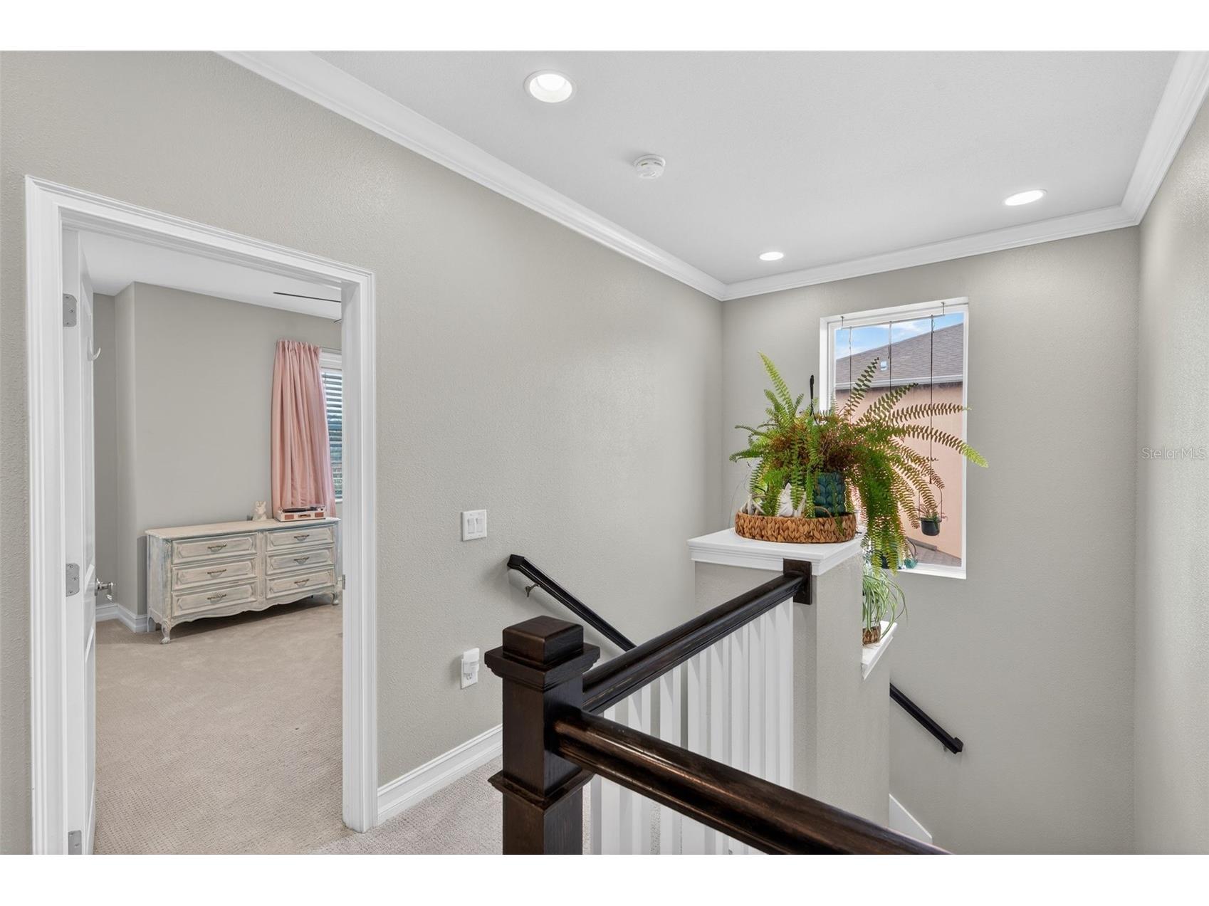 4020 Empoli Court Wesley Chapel FL 33543 TB8464062 image39