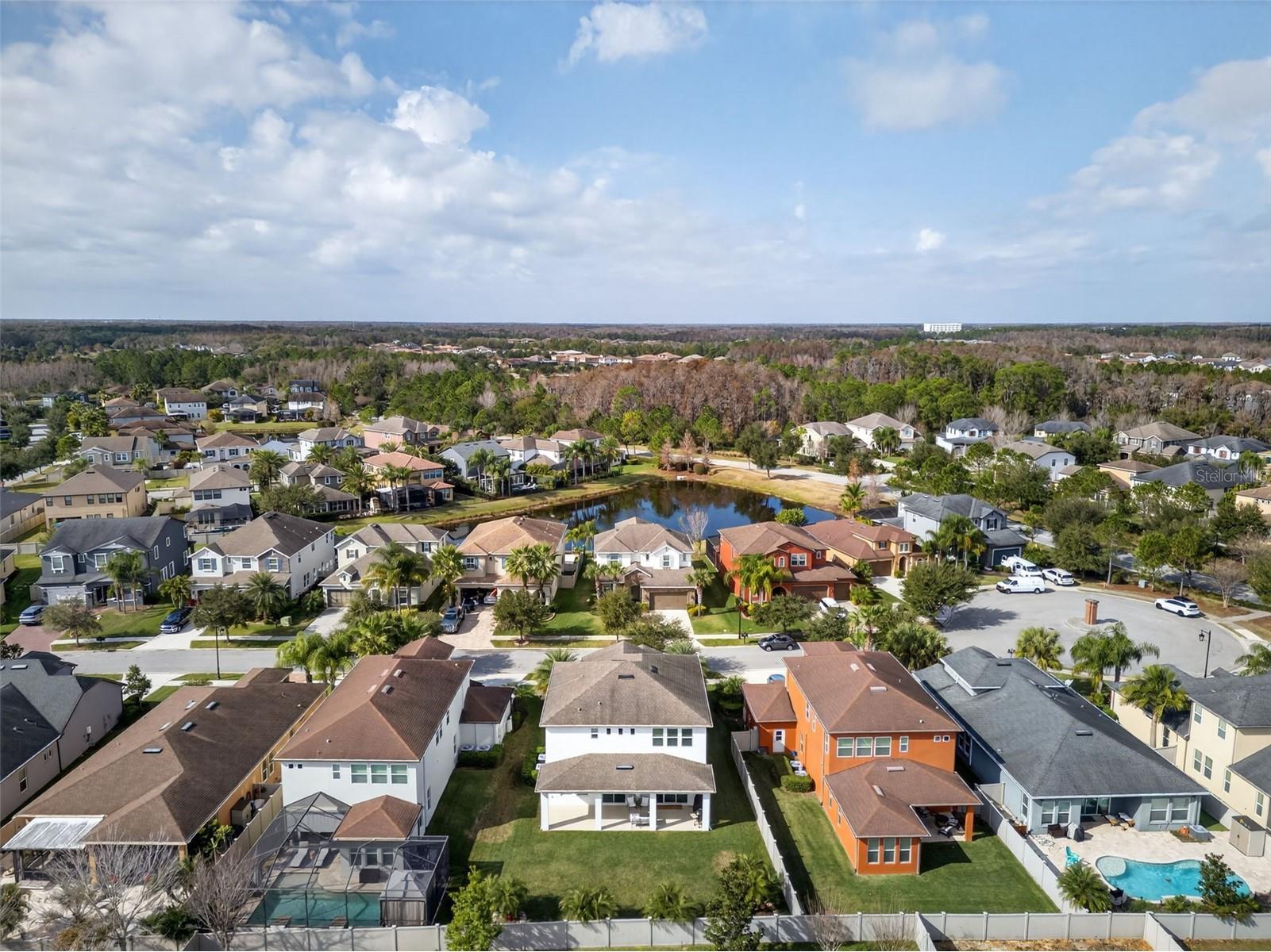 4020 Empoli Court Wesley Chapel FL 33543 TB8464062 image60