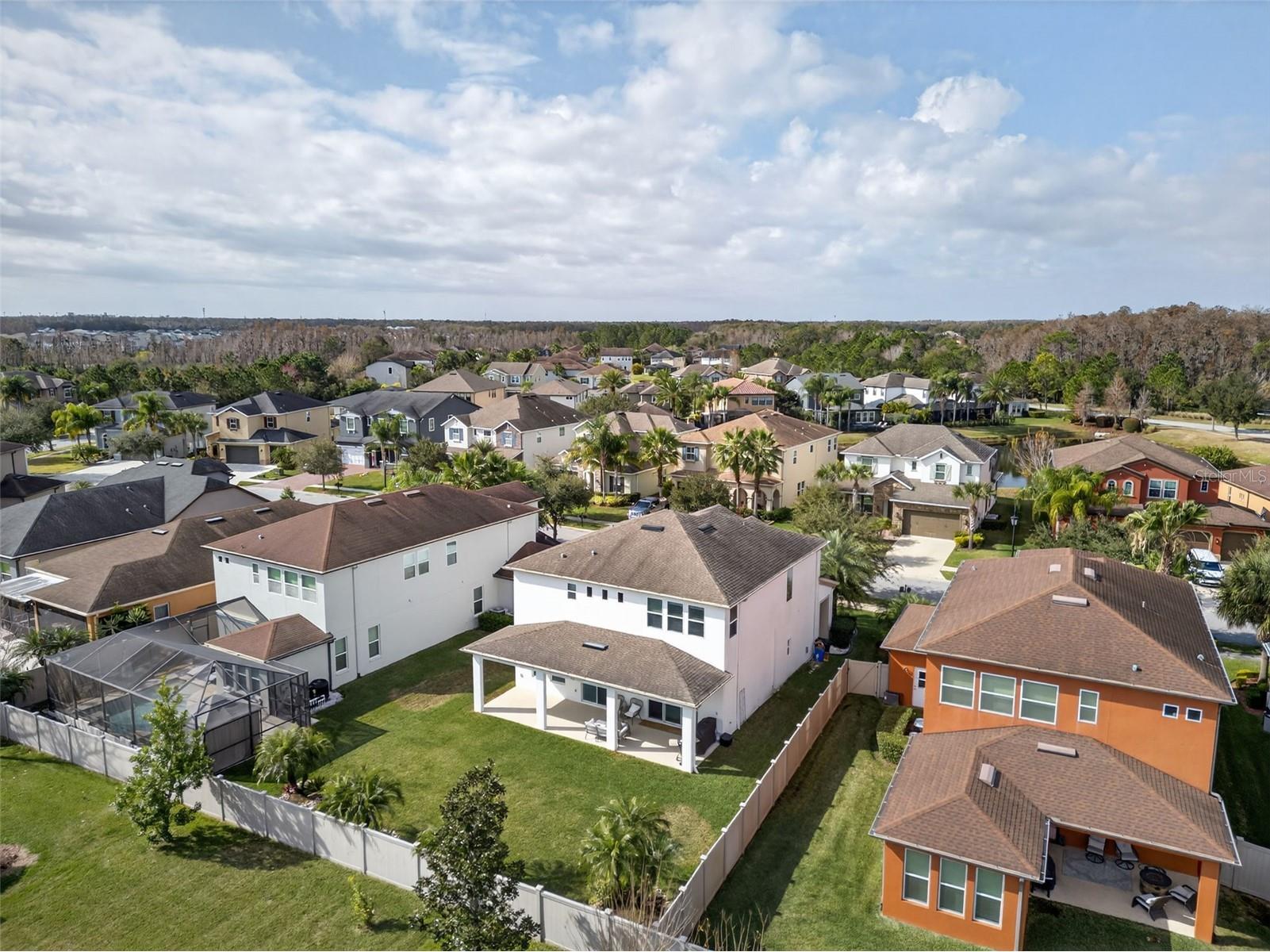 4020 Empoli Court Wesley Chapel FL 33543 TB8464062 image61