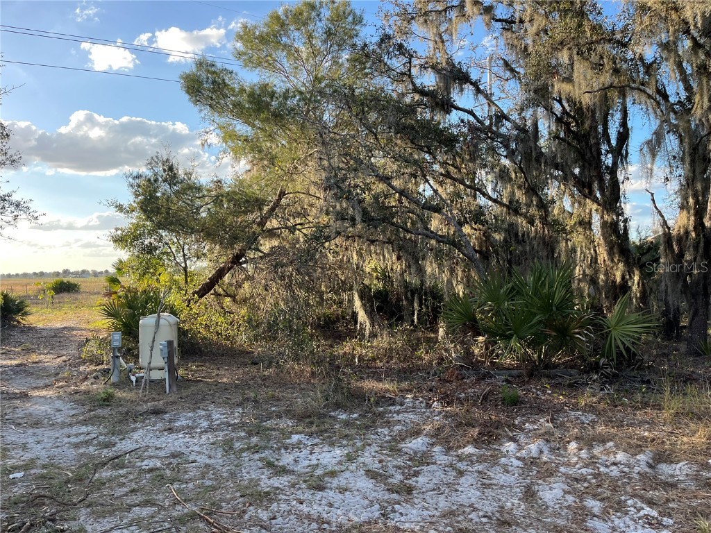 4020 Gasden Street Lake Wales FL 33859 K4902830 image5