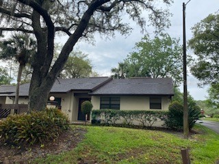 4020 Honeylocust Court Palm Harbor FL 34684 U8198934 image1