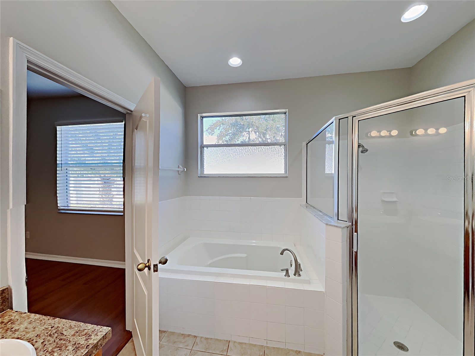 4020 Langdrum Drive Wesley Chapel FL 33543 C7523314 image10