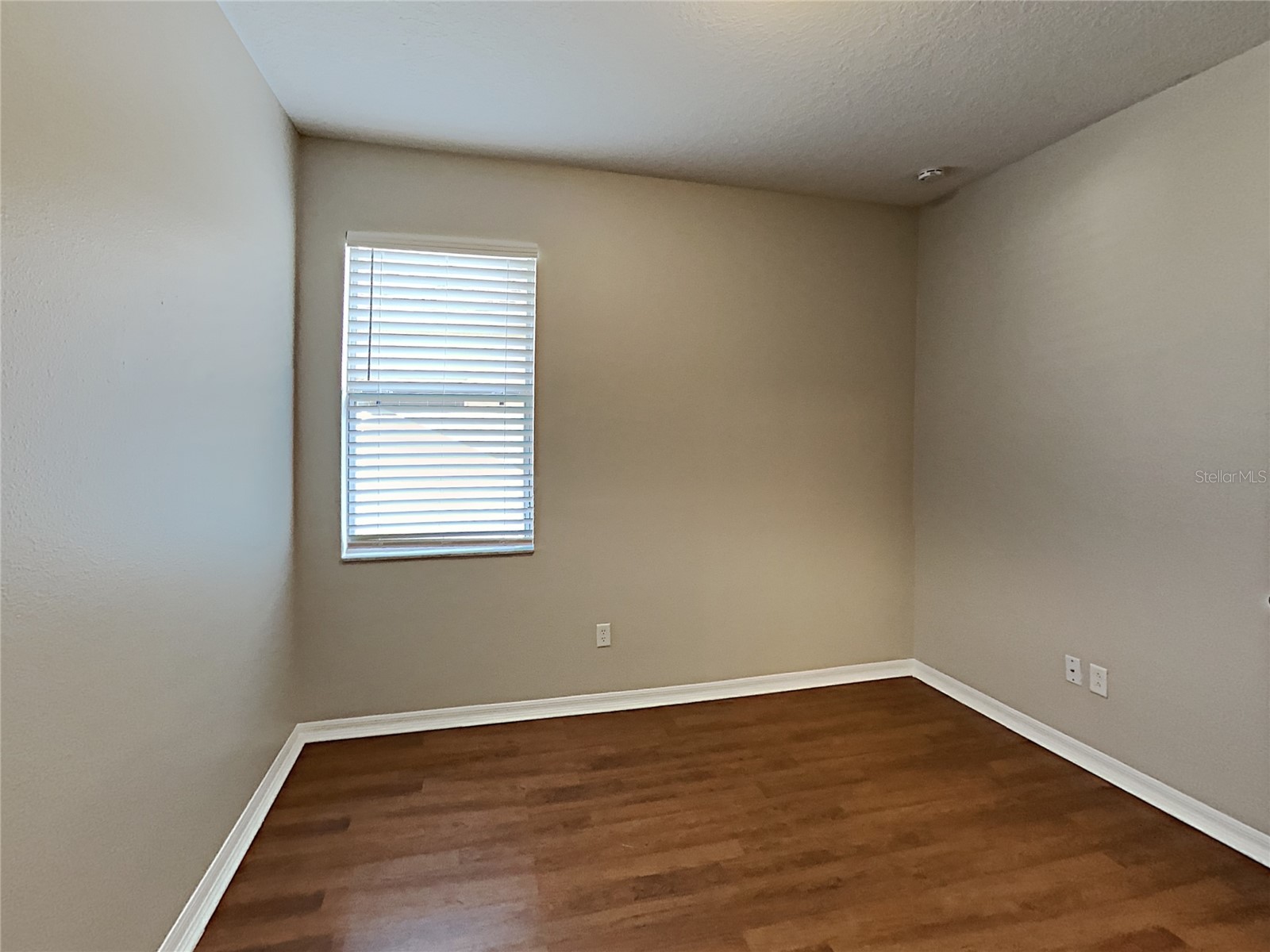 4020 Langdrum Drive Wesley Chapel FL 33543 C7523314 image12