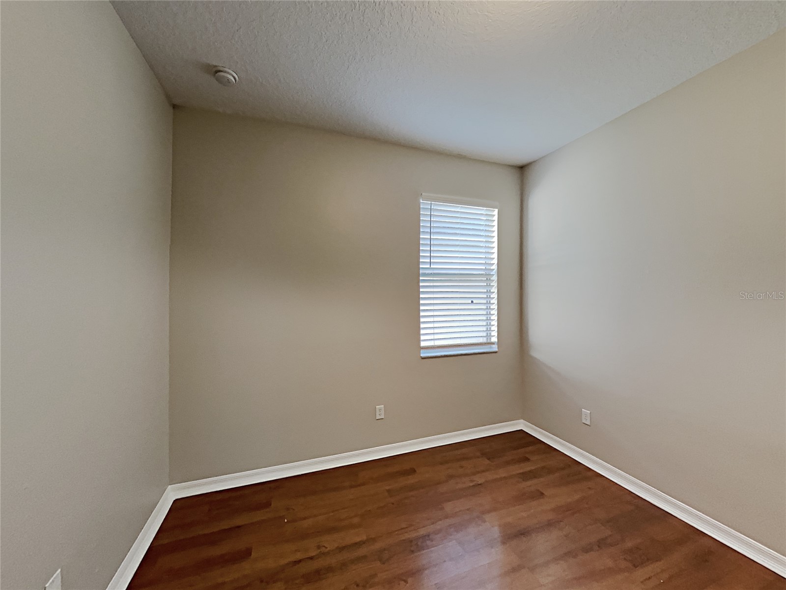 4020 Langdrum Drive Wesley Chapel FL 33543 C7523314 image14