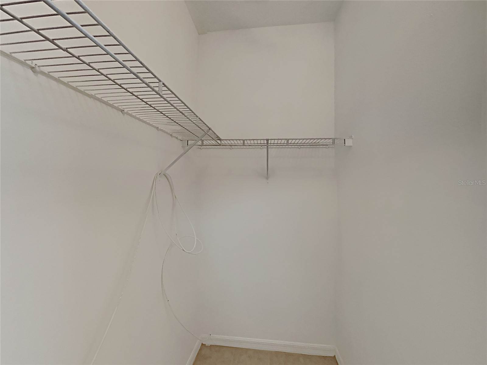 4020 Langdrum Drive Wesley Chapel FL 33543 C7523314 image19