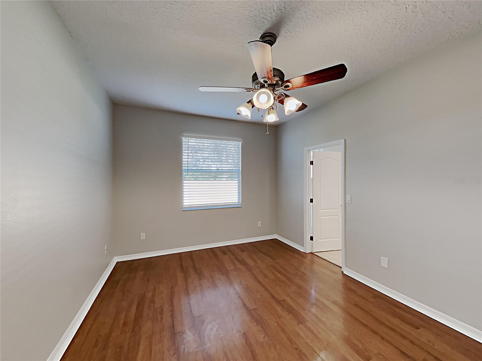 4020 Langdrum Drive Wesley Chapel FL 33543 C7523314 image21