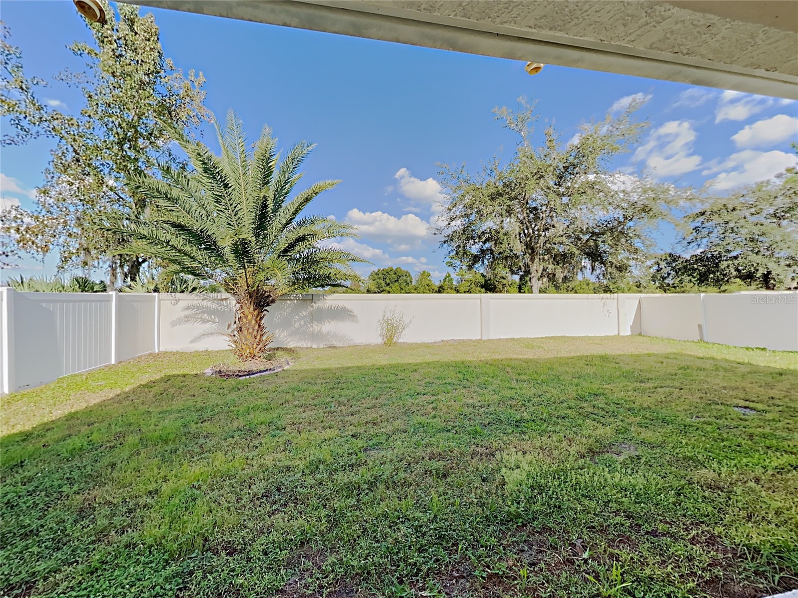 4020 Langdrum Drive Wesley Chapel FL 33543 C7523314 image23