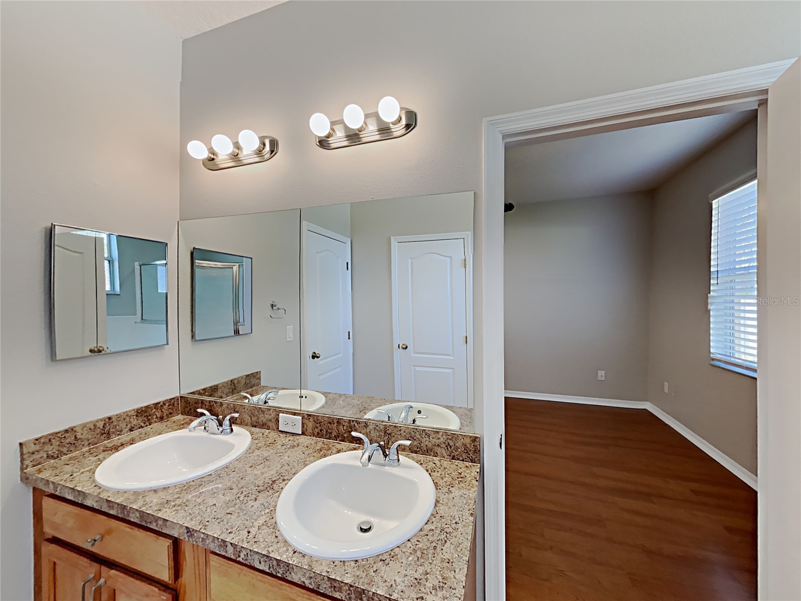 4020 Langdrum Drive Wesley Chapel FL 33543 C7523314 image9