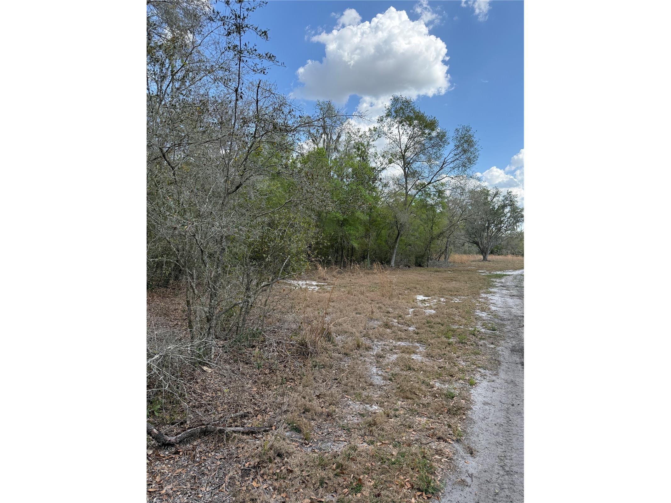 4021 Bruton Road Plant City FL 33565 TB8481519 image10