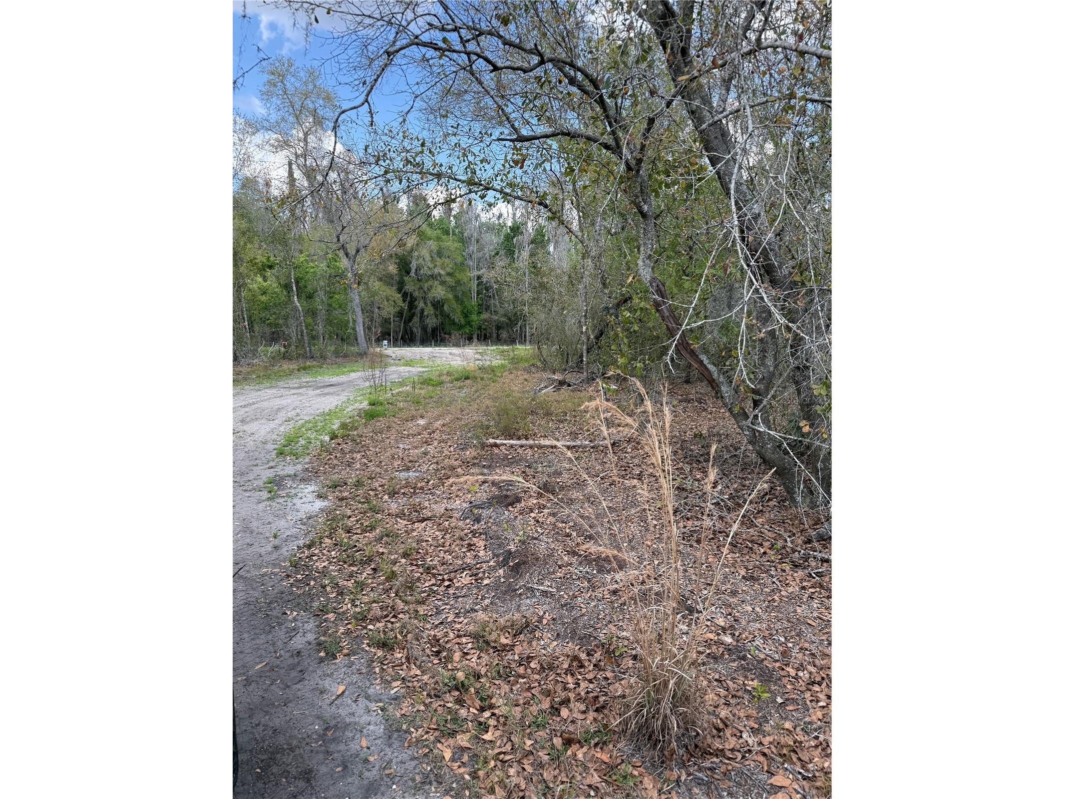 4021 Bruton Road Plant City FL 33565 TB8481519 image11