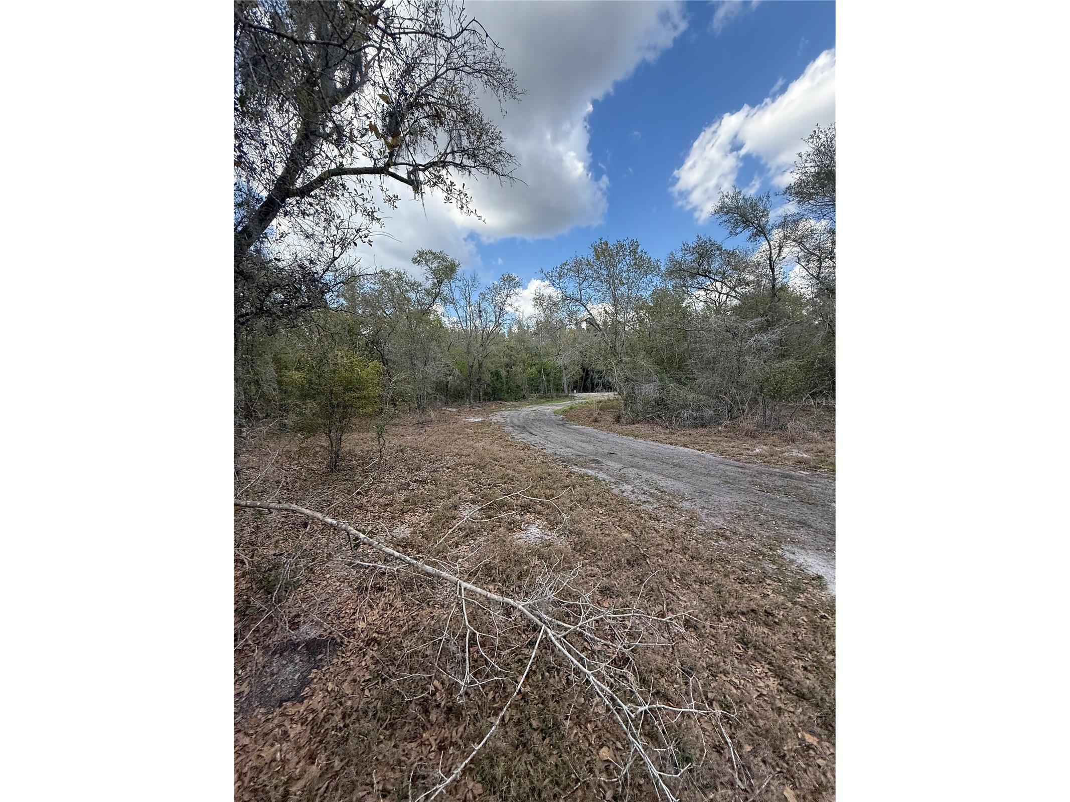 4021 Bruton Road Plant City FL 33565 TB8481519 image12