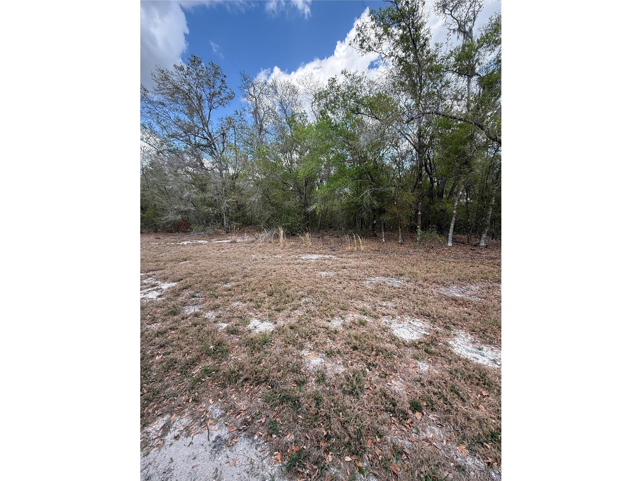 4021 Bruton Road Plant City FL 33565 TB8481519 image13