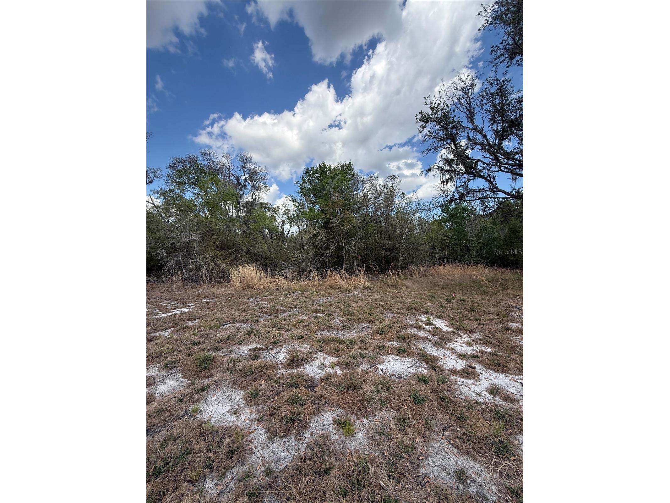 4021 Bruton Road Plant City FL 33565 TB8481519 image14