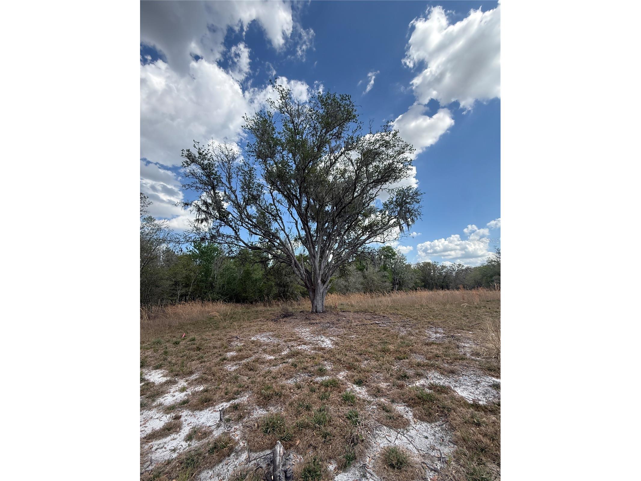 4021 Bruton Road Plant City FL 33565 TB8481519 image15