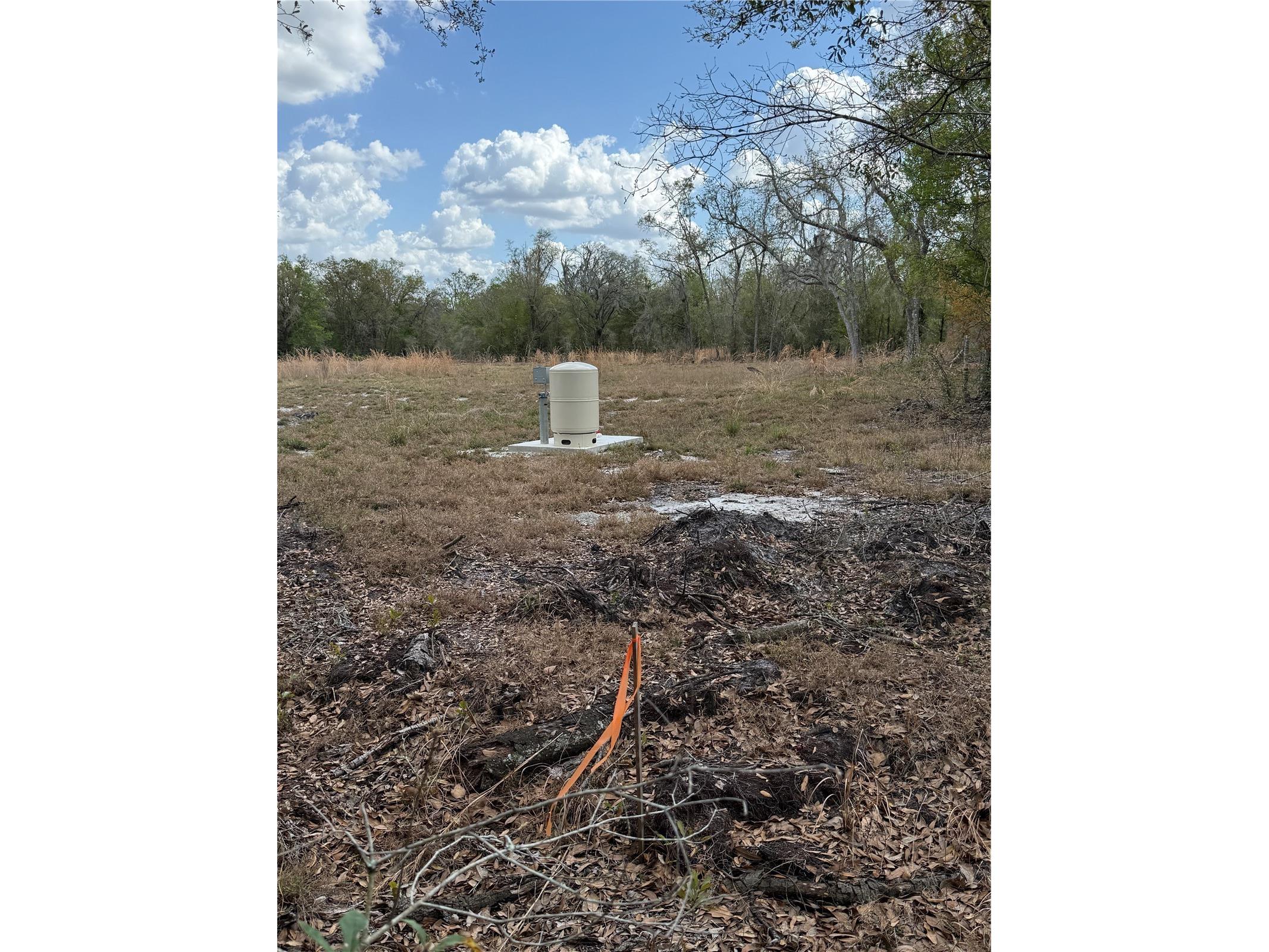 4021 Bruton Road Plant City FL 33565 TB8481519 image16