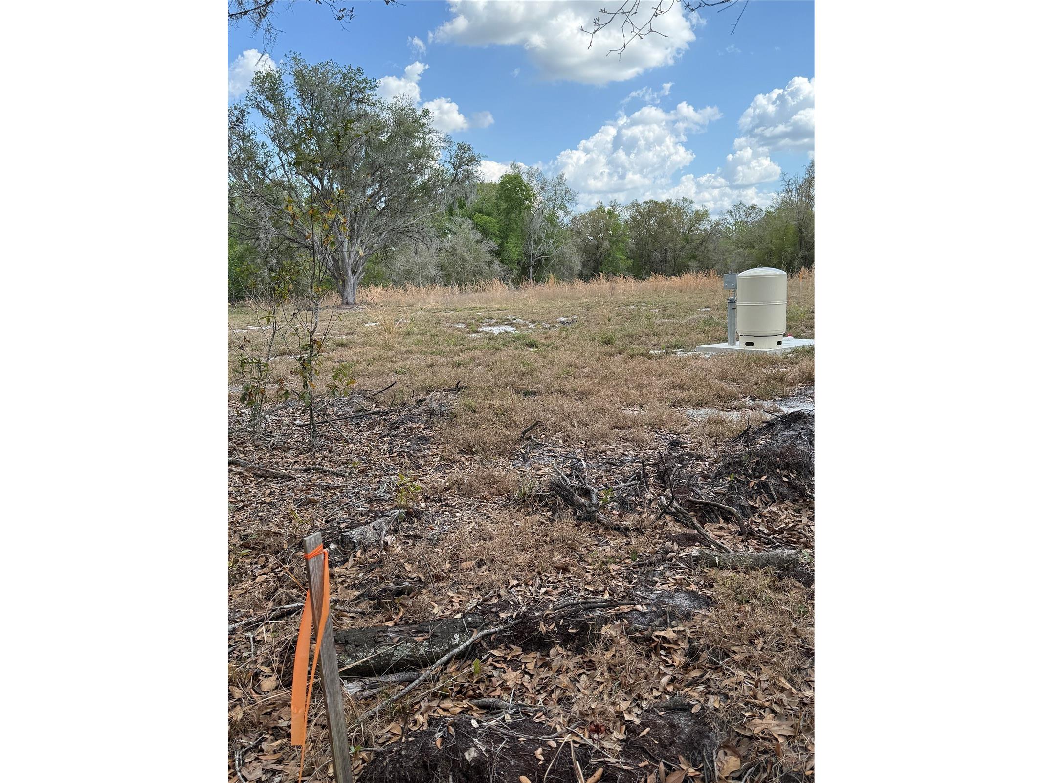 4021 Bruton Road Plant City FL 33565 TB8481519 image17