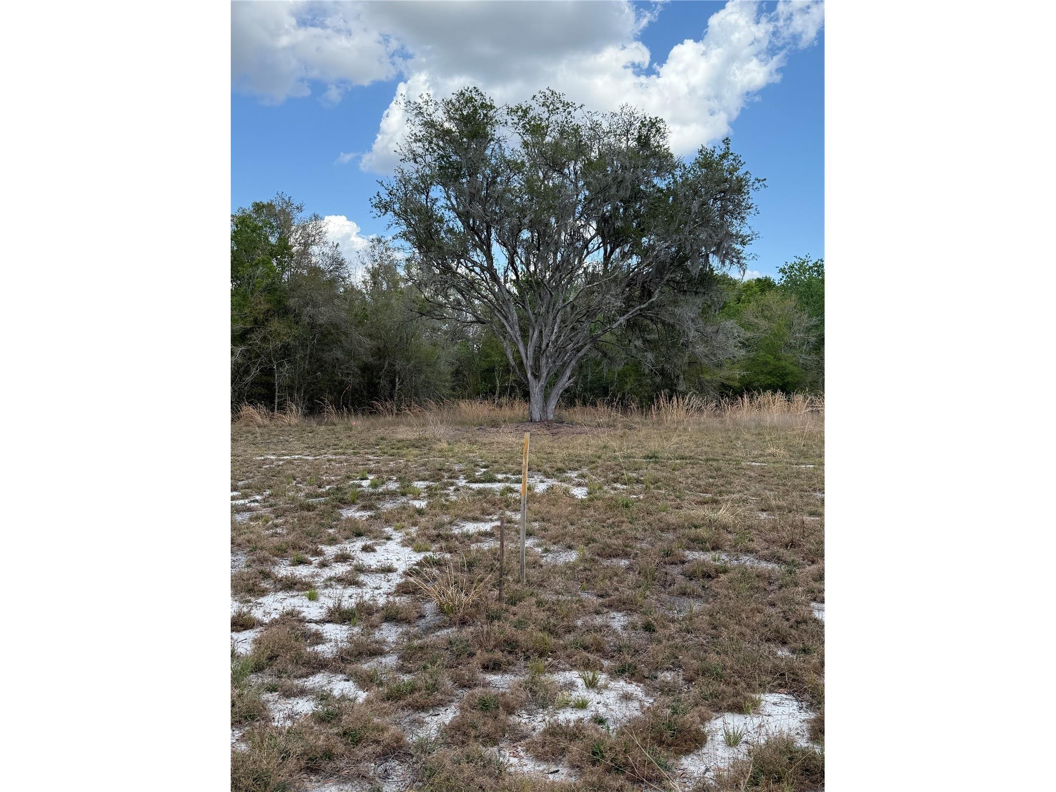 4021 Bruton Road Plant City FL 33565 TB8481519 image18