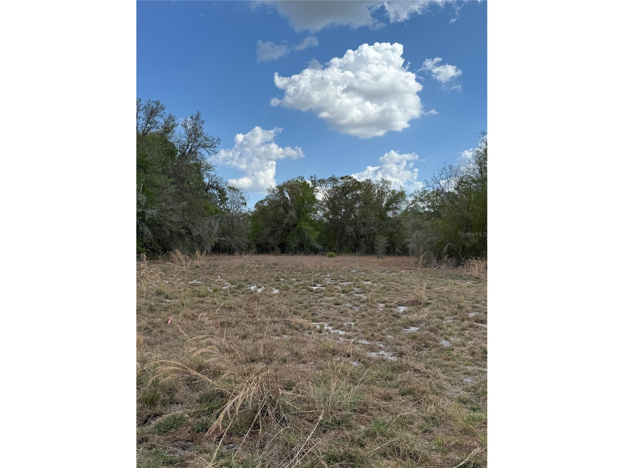 4021 Bruton Road Plant City FL 33565 TB8481519 image19