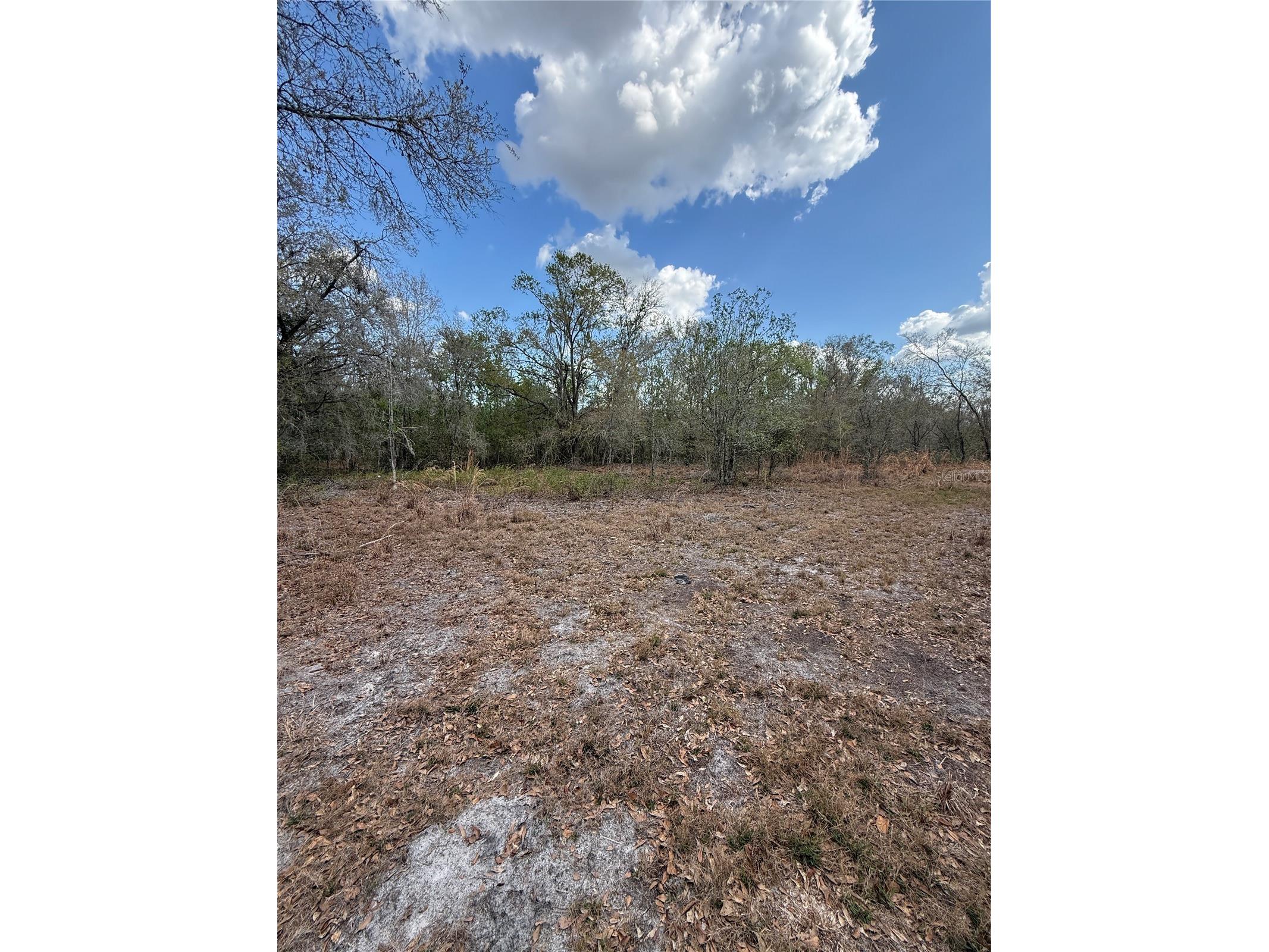 4021 Bruton Road Plant City FL 33565 TB8481519 image20