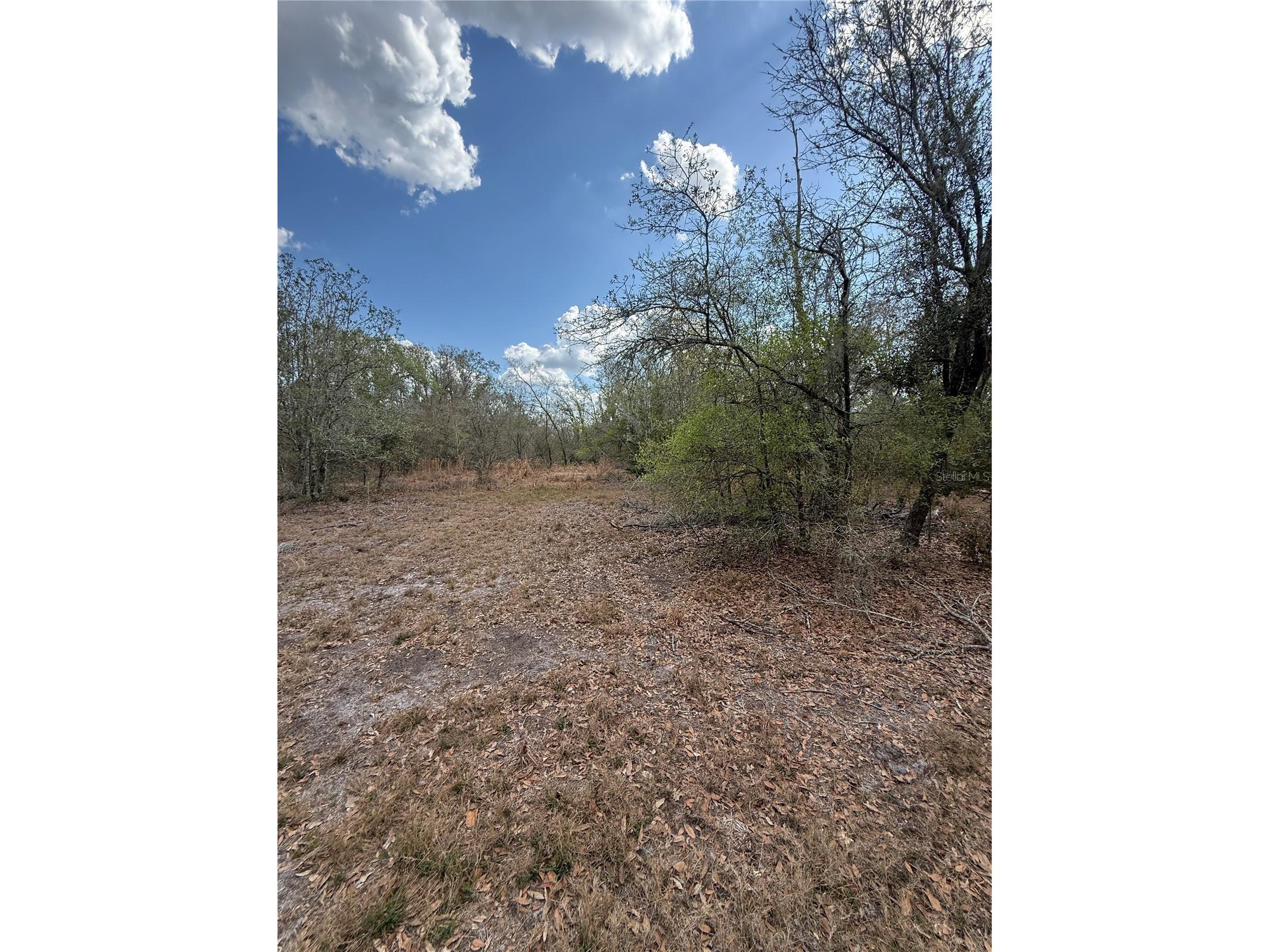 4021 Bruton Road Plant City FL 33565 TB8481519 image21