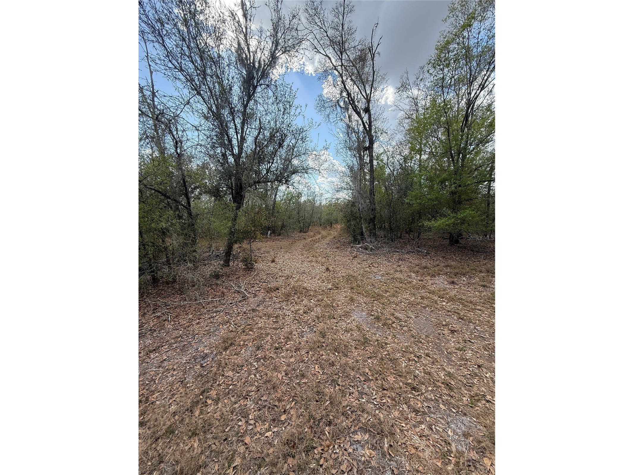 4021 Bruton Road Plant City FL 33565 TB8481519 image22