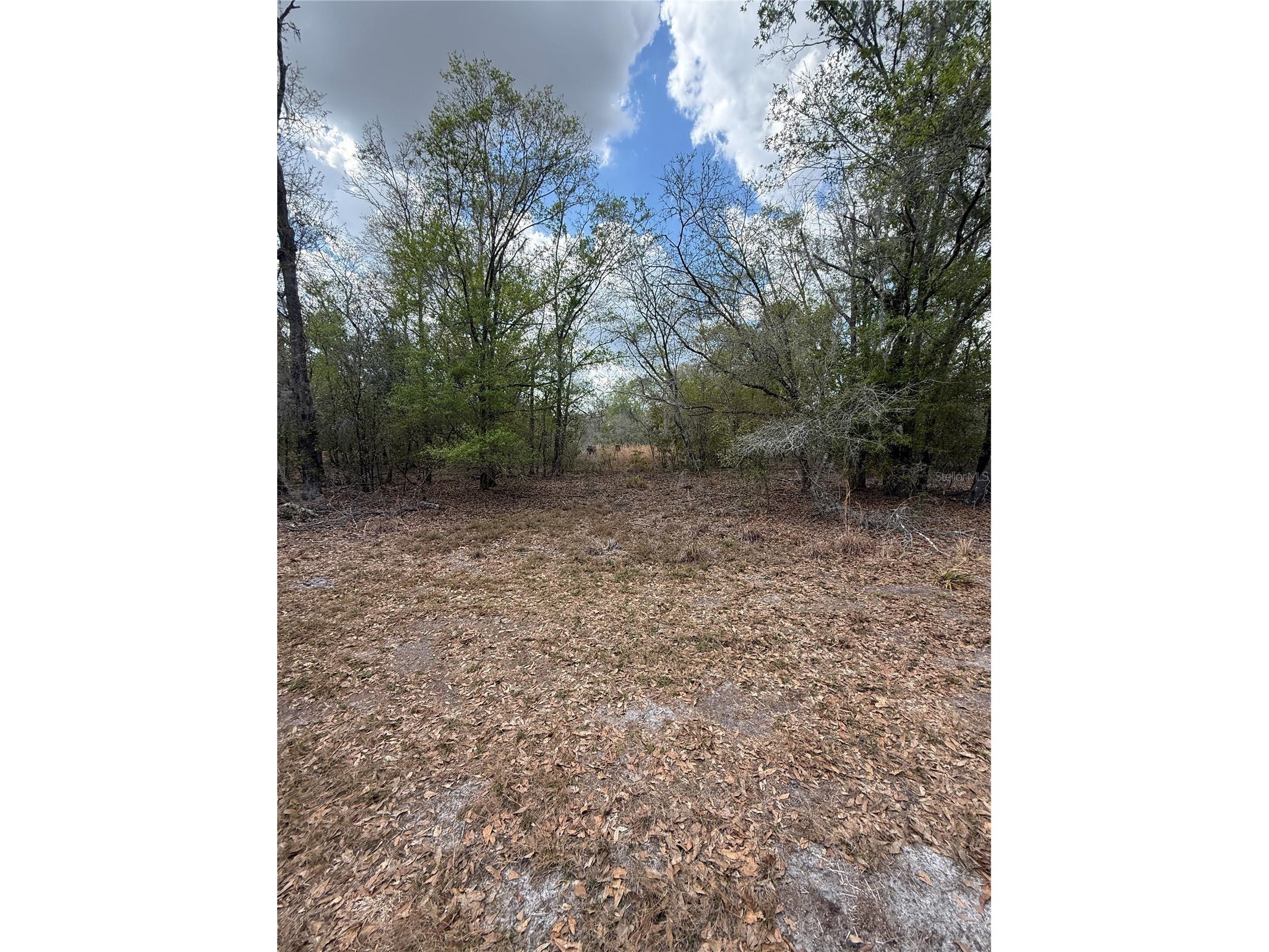 4021 Bruton Road Plant City FL 33565 TB8481519 image23