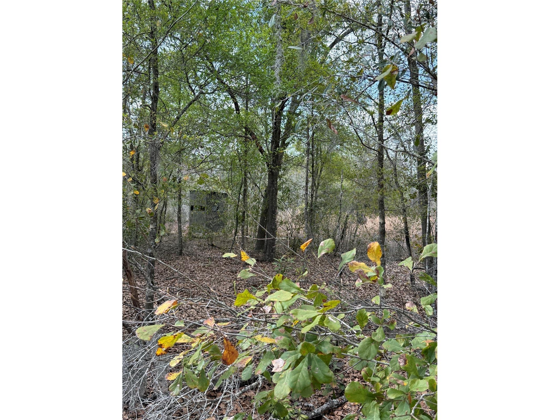 4021 Bruton Road Plant City FL 33565 TB8481519 image24