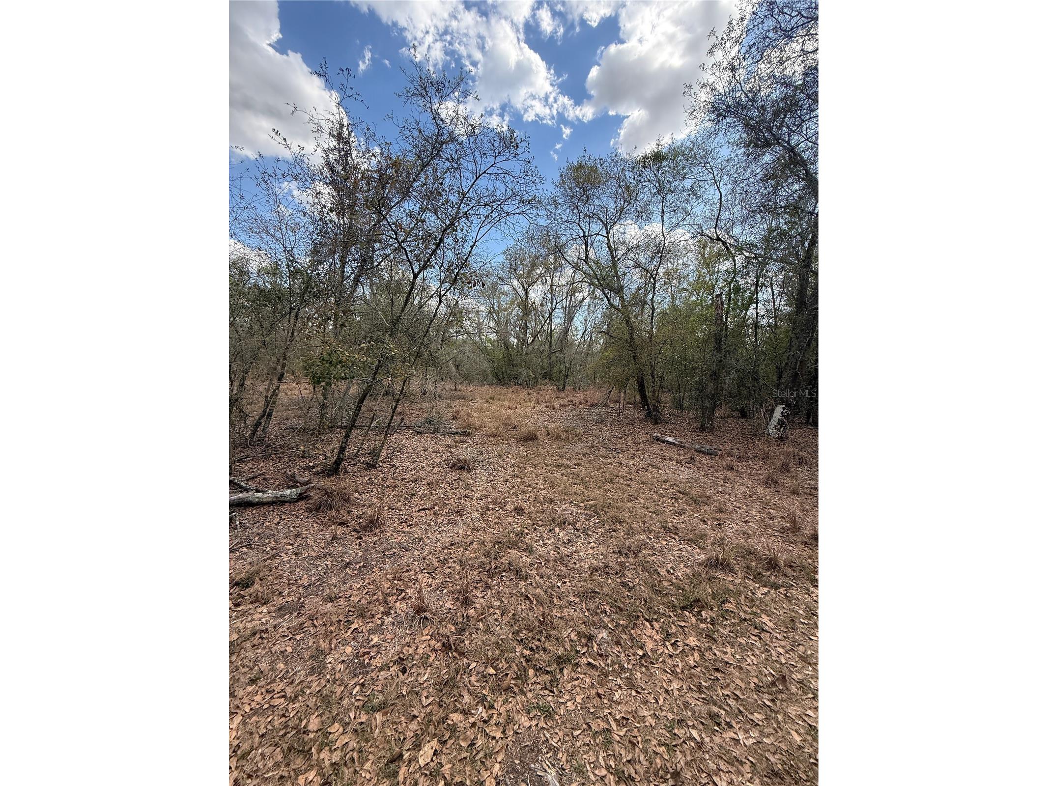 4021 Bruton Road Plant City FL 33565 TB8481519 image25