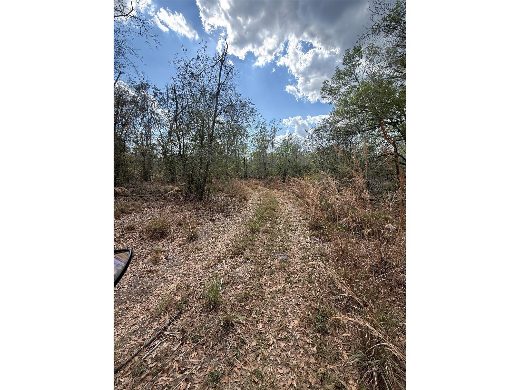 4021 Bruton Road Plant City FL 33565 TB8481519 image26