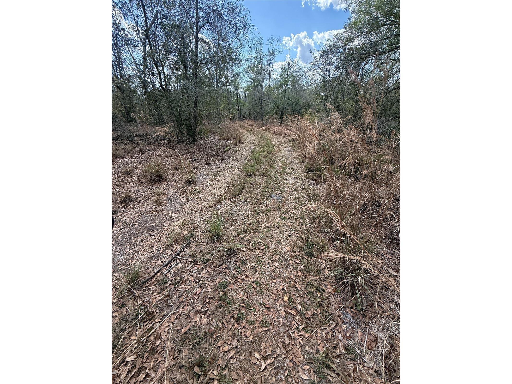 4021 Bruton Road Plant City FL 33565 TB8481519 image27